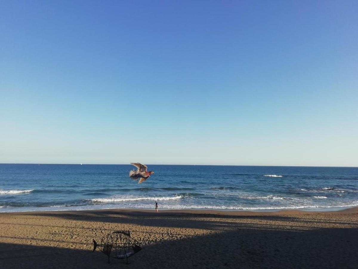 Apartamento-Estudio Benalmadena Maite-3 מראה חיצוני תמונה